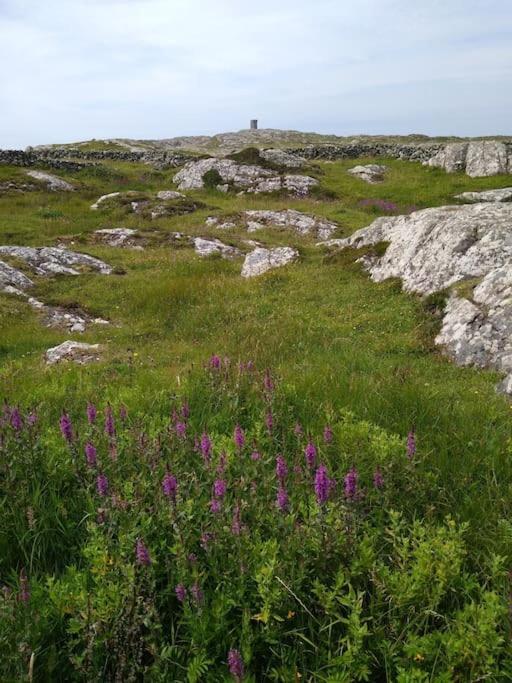 Hébergement de vacances Entire Coastal In Connemara Ireland